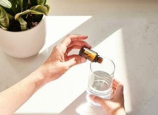 Essential Oils And Their Impact On Our Dogs Health - La Luna Pet Care