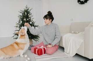 Navigating Toxic Foods for Dogs During the Christmas Festivities - La Luna Pet Care