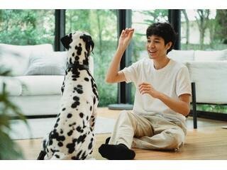 The Benefits of Clicker Training for Dogs - La Luna Pet Care