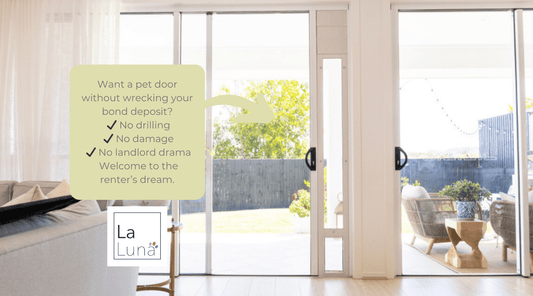 Best Pet Door for Renters in Australia (No Drilling Needed!) - La Luna Pet Care