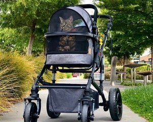 The Benefits of Using a Pet Stroller - La Luna Pet Care