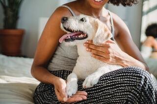 Tips for Introducing a New Dog to Your Home - La Luna Pet Care