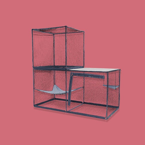 Cat Enclosures - La Luna Pet Care