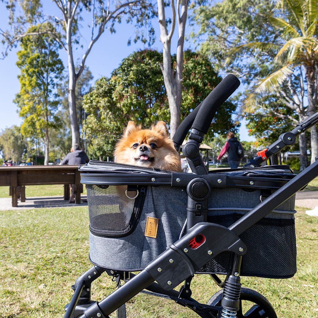 Pet Stroller: Convenience & Comfort on Wheels