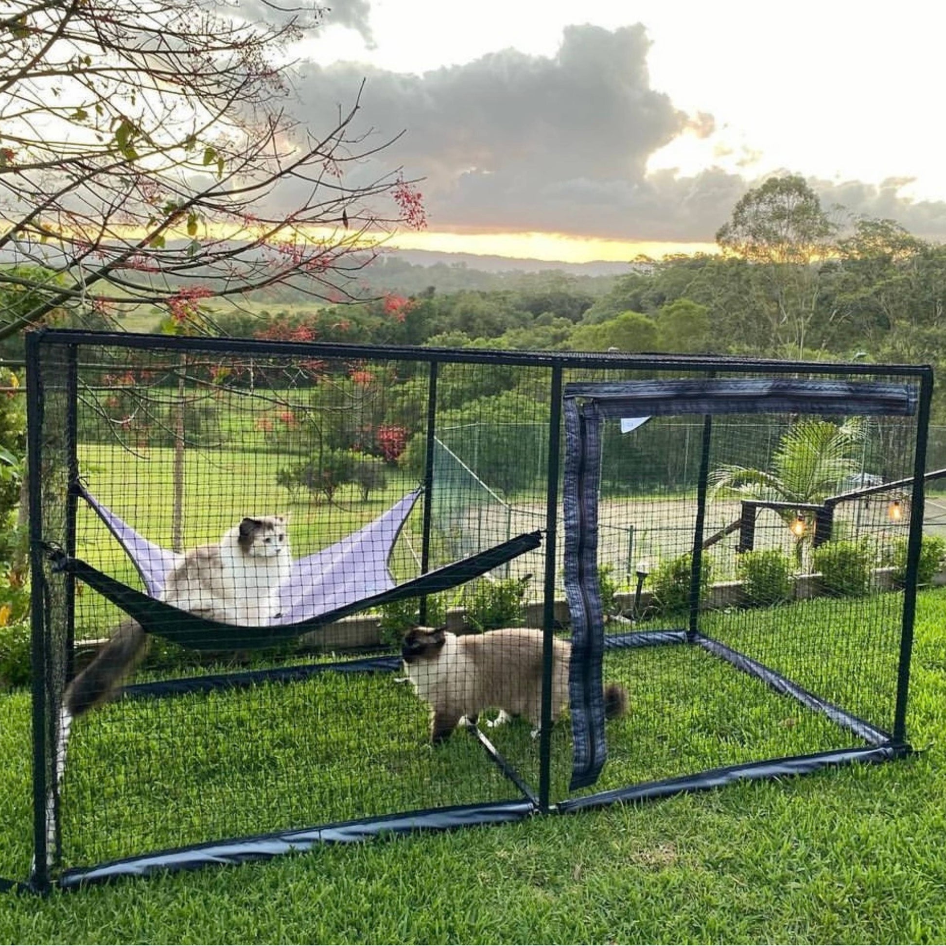 The Cat Cabana Cat Enclosure 2.0m - La_Luna_Pet_Care