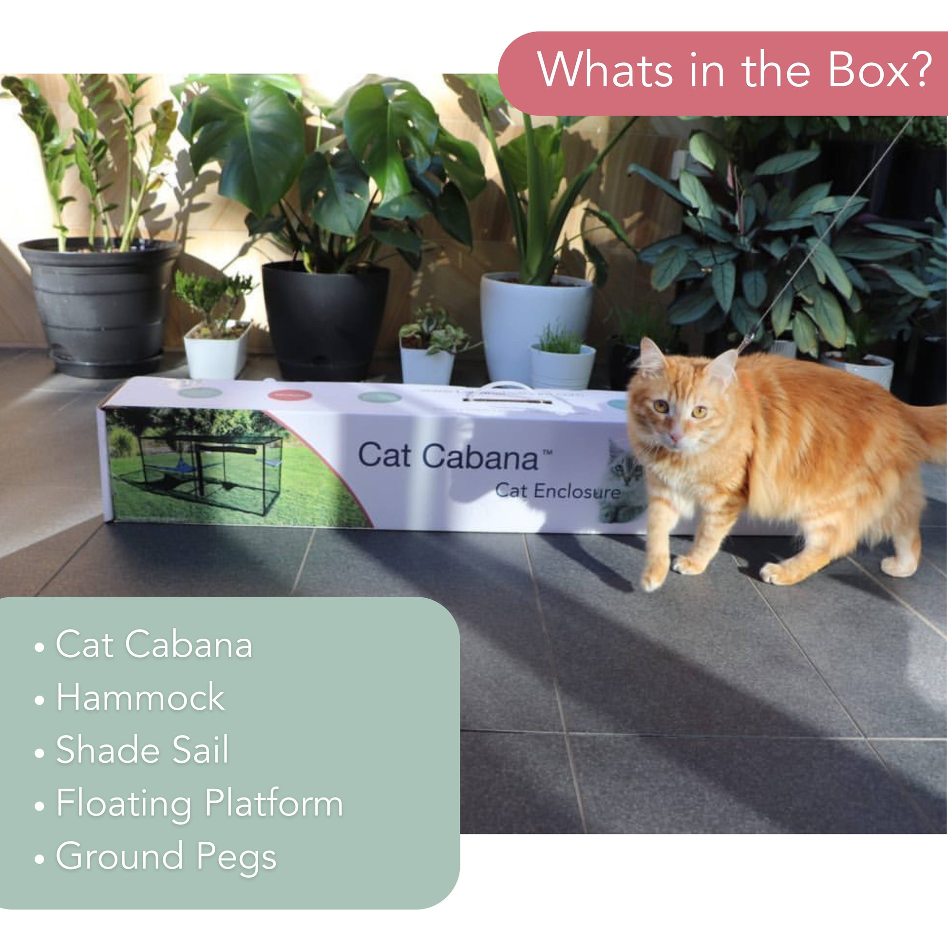 The Cat Cabana Cat Enclosure 2.0m
